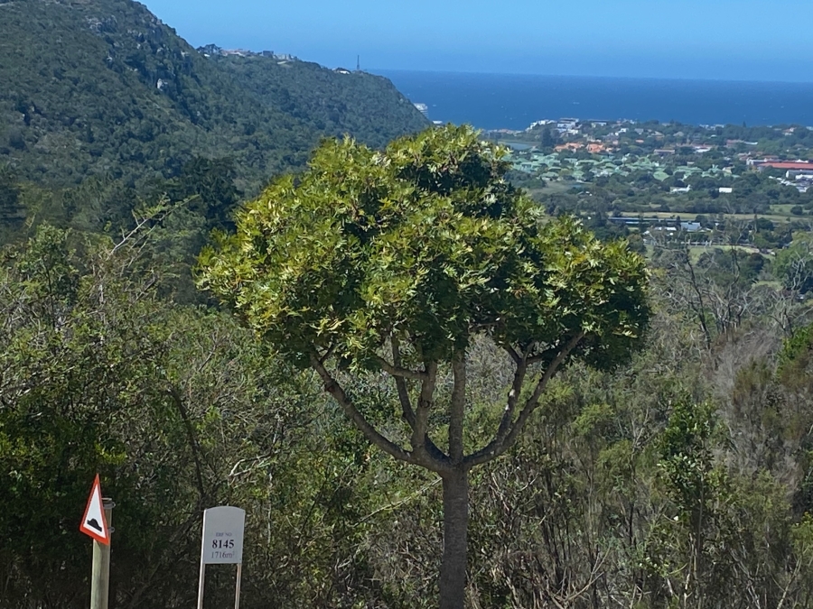 0 Bedroom Property for Sale in Schoongezicht Western Cape